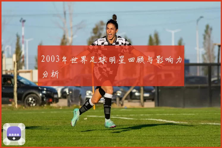 2003年世界足球明星回顾与影响力分析