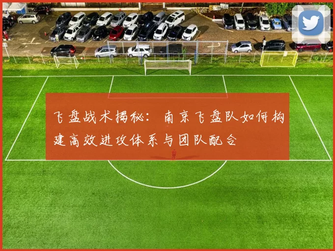 飞盘战术揭秘：南京飞盘队如何构建高效进攻体系与团队配合