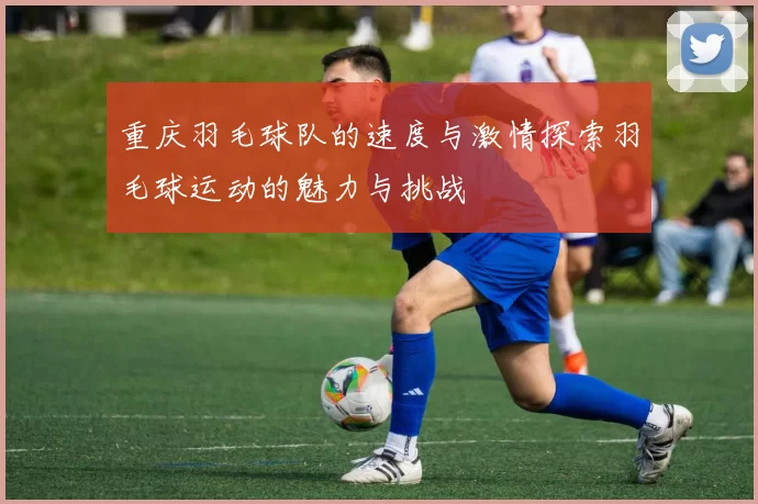 重庆羽毛球队的速度与激情探索羽毛球运动的魅力与挑战
