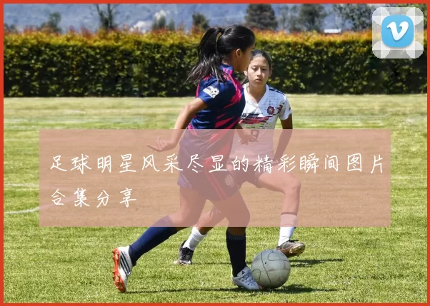 足球明星风采尽显的精彩瞬间图片合集分享
