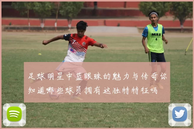 足球明星中蓝眼珠的魅力与传奇你知道哪些球员拥有这独特特征吗