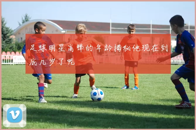 足球明星高锋的年龄揭秘他现在到底几岁了呢
