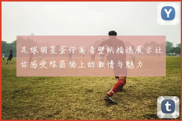足球明星蛋仔高清壁纸精选展示让你感受绿茵场上的激情与魅力