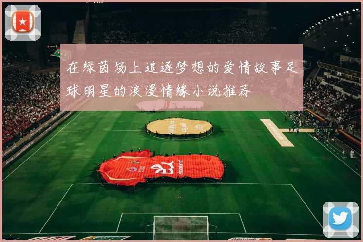 在绿茵场上追逐梦想的爱情故事足球明星的浪漫情缘小说推荐
