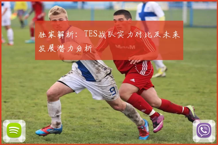 独家解析：TES战队实力对比及未来发展潜力分析