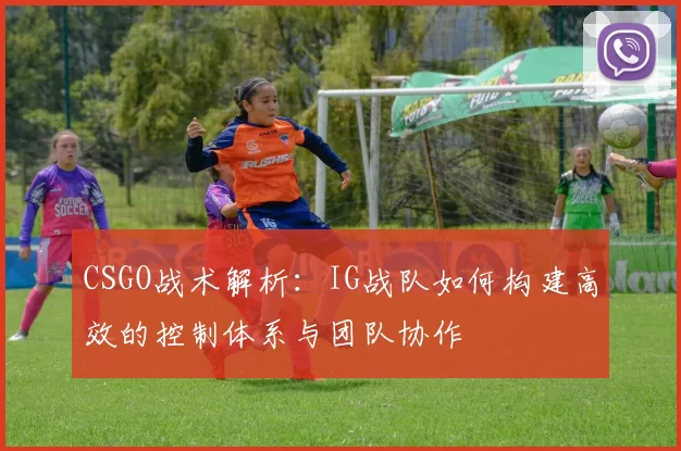 CSGO战术解析：IG战队如何构建高效的控制体系与团队协作