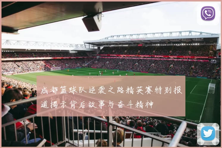 成都篮球队逆袭之路精英赛特别报道揭示背后故事与奋斗精神