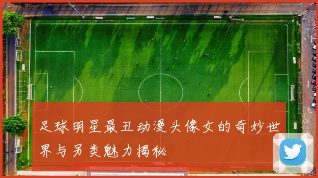 足球明星最丑动漫头像女的奇妙世界与另类魅力揭秘