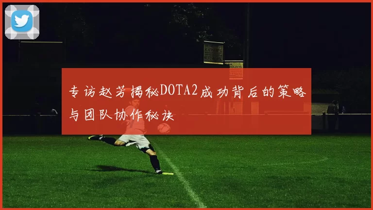 专访赵芳揭秘DOTA2成功背后的策略与团队协作秘诀