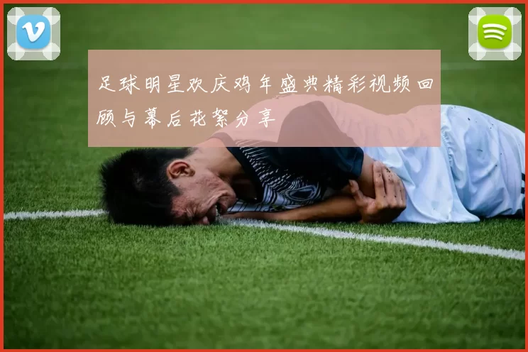 足球明星欢庆鸡年盛典精彩视频回顾与幕后花絮分享