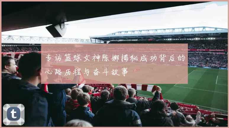 专访篮球女神陈娜揭秘成功背后的心路历程与奋斗故事