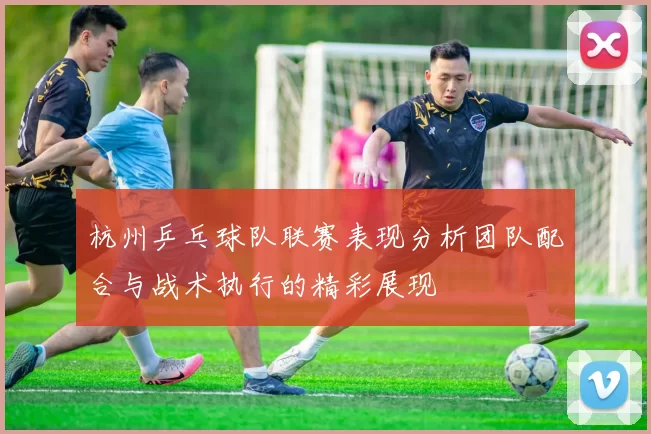 杭州乒乓球队联赛表现分析团队配合与战术执行的精彩展现