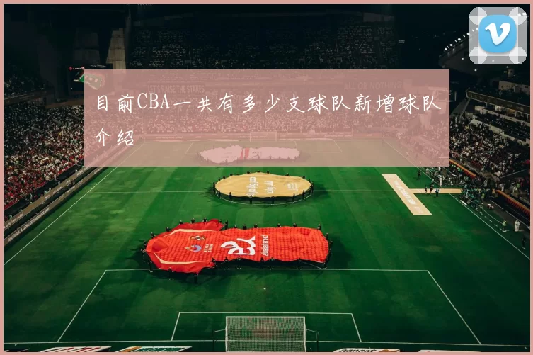 目前CBA一共有多少支球队新增球队介绍