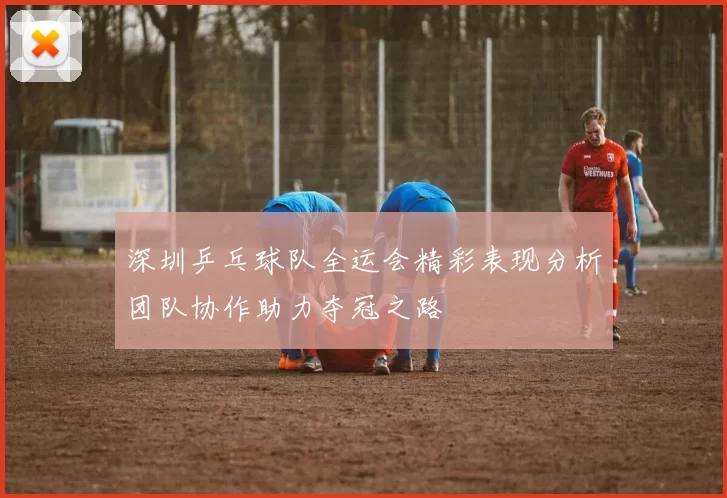 深圳乒乓球队全运会精彩表现分析团队协作助力夺冠之路