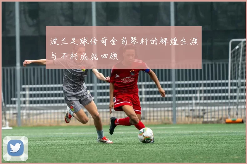 波兰足球传奇舍甫琴科的辉煌生涯与不朽成就回顾