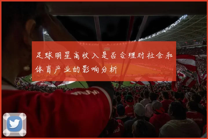 足球明星高收入是否合理对社会和体育产业的影响分析