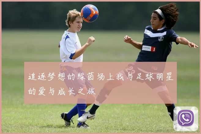 追逐梦想的绿茵场上我与足球明星的爱与成长之旅