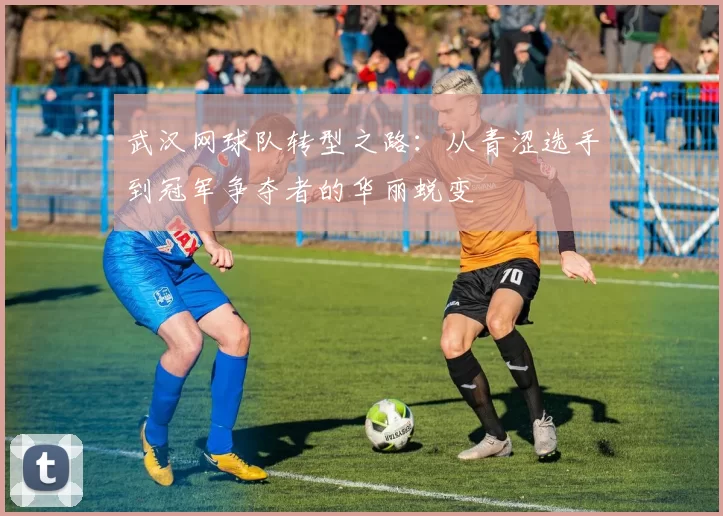 武汉网球队转型之路：从青涩选手到冠军争夺者的华丽蜕变