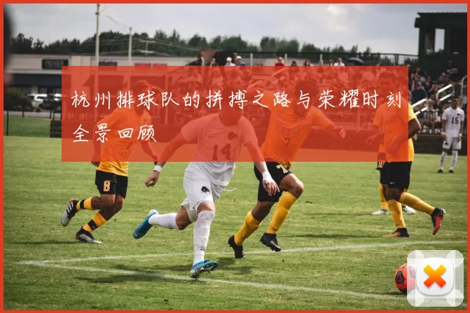 杭州排球队的拼搏之路与荣耀时刻全景回顾