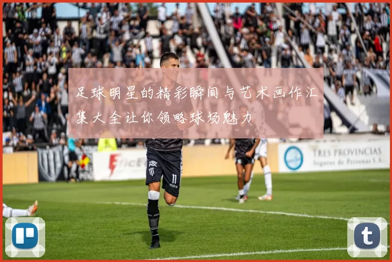 足球明星的精彩瞬间与艺术画作汇集大全让你领略球场魅力