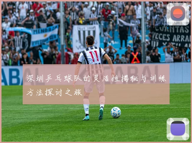 深圳乒乓球队的灵活性揭秘与训练方法探讨之旅