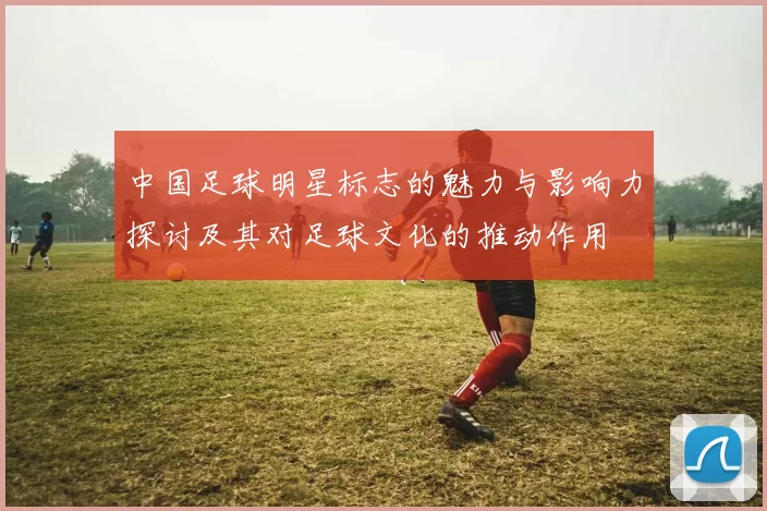 中国足球明星标志的魅力与影响力探讨及其对足球文化的推动作用